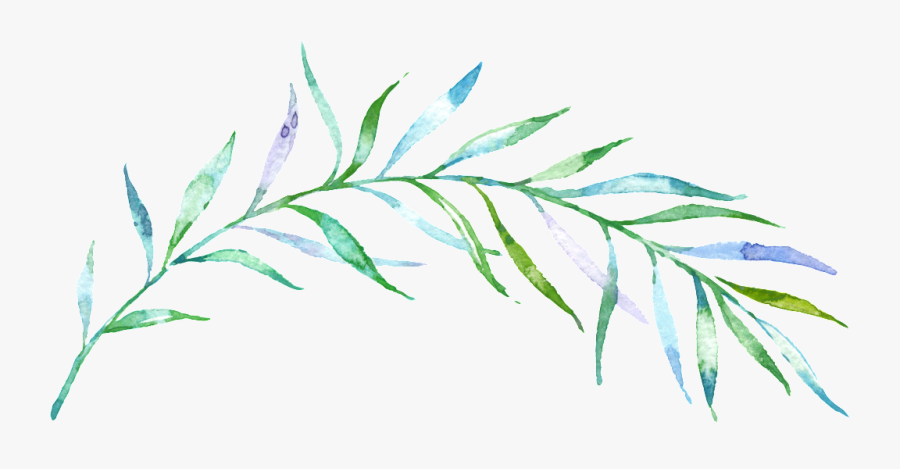 Clipart Download Thin Green Free Download Png Files - Ramos Folhas Aquarela Png, Transparent Clipart