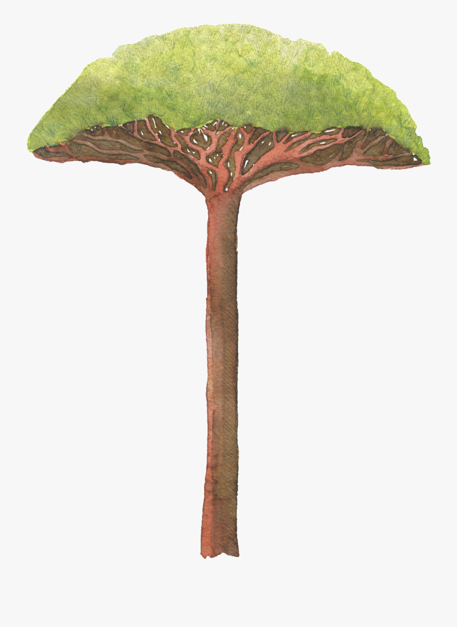 Transparent Palm Tree Leaves Png - Palm Tree, Transparent Clipart