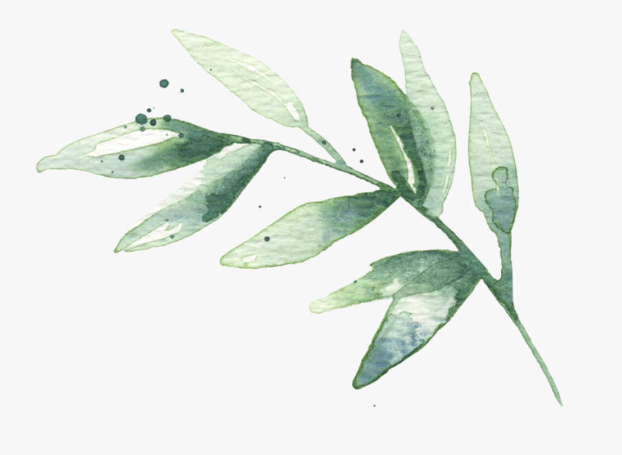 Watercolor Leaves 02 - Free Png Watercolor Leaves, Transparent Clipart