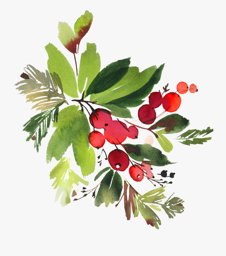 Snowman Watercolor Flowers Png - Watercolor Christmas Holly Png, Transparent Clipart