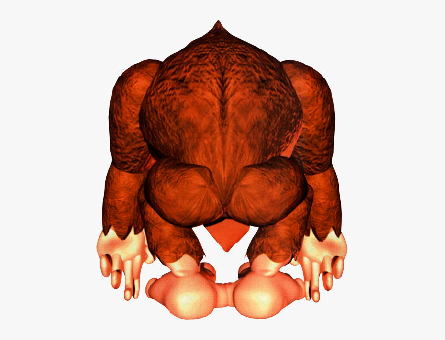 Transparent Donkey Kong Country Png - Donkey Kong Country Render, Transparent Clipart