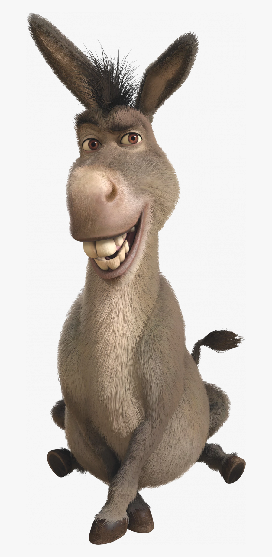 Donkey Shrek, Transparent Clipart