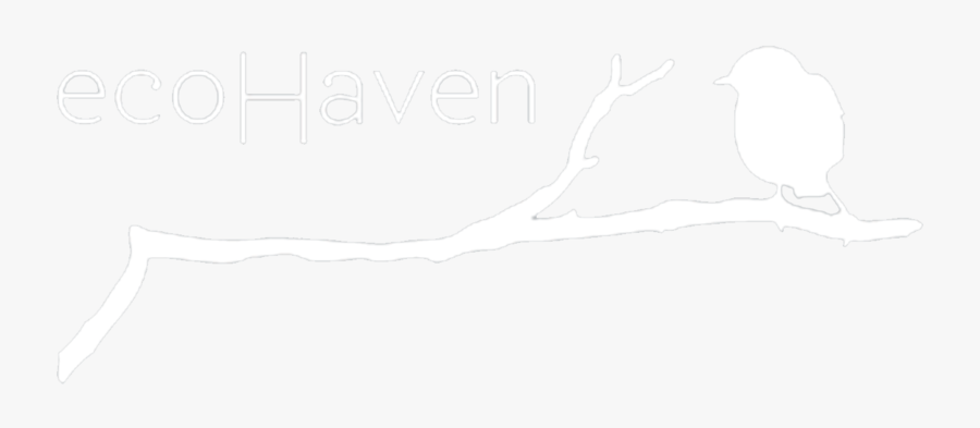 Peas Drawing One Pod - Sketch, Transparent Clipart