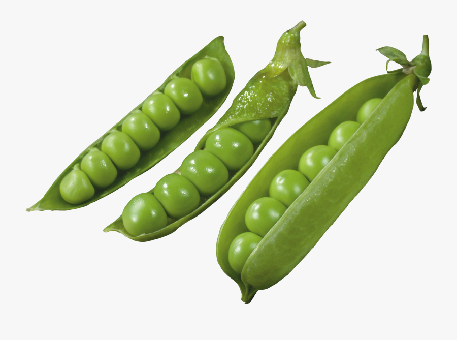 Three Pods With Peas Png Image - Горох Клипарт, Transparent Clipart