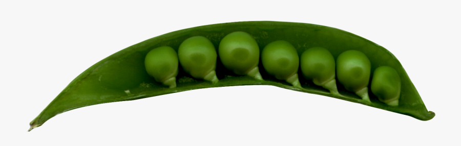 Snap Pea, Transparent Clipart