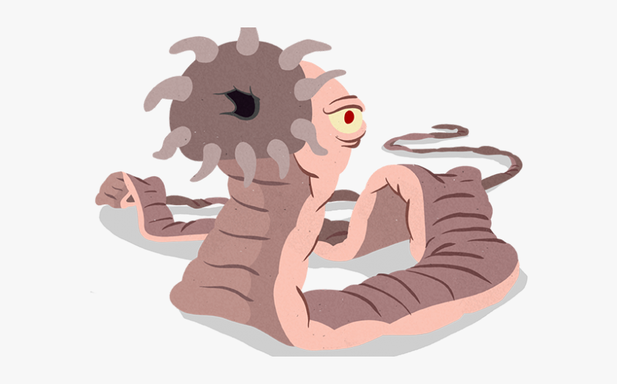 Toxocara Canis Png, Transparent Clipart