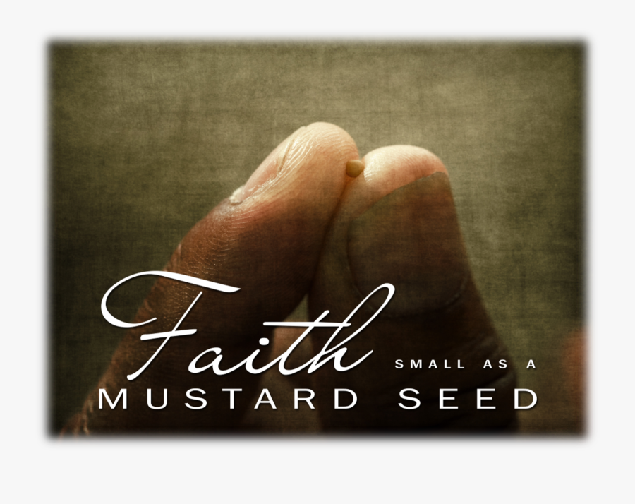 Poster, Transparent Clipart