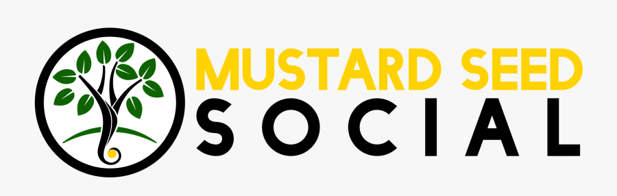 Circle, Transparent Clipart