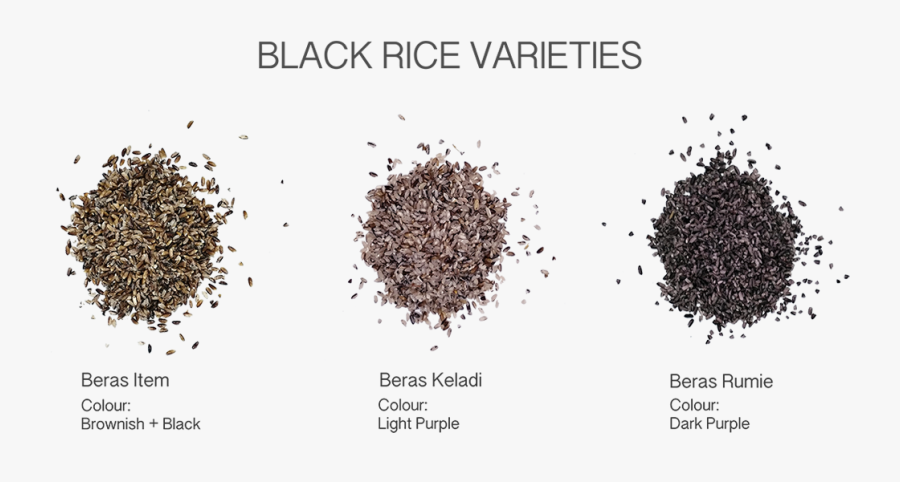 Transparent Rice Plant Png - Caffeine, Transparent Clipart