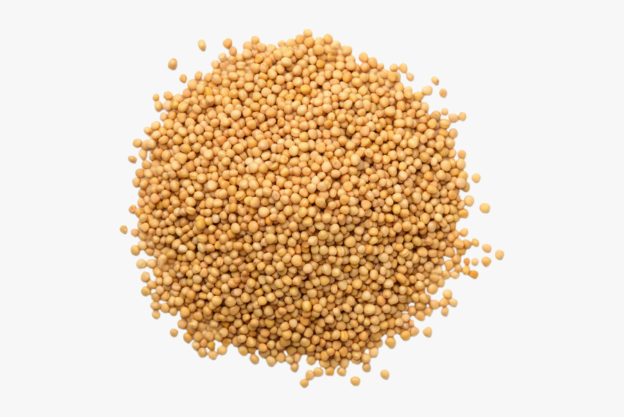 Grain,leaf Seed,mustard,groat - Alfalfa Seeds Transparent Background, Transparent Clipart