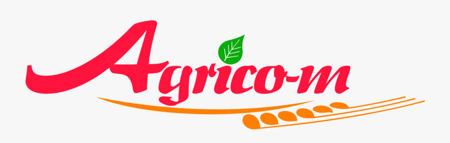 Graphic Design, Transparent Clipart