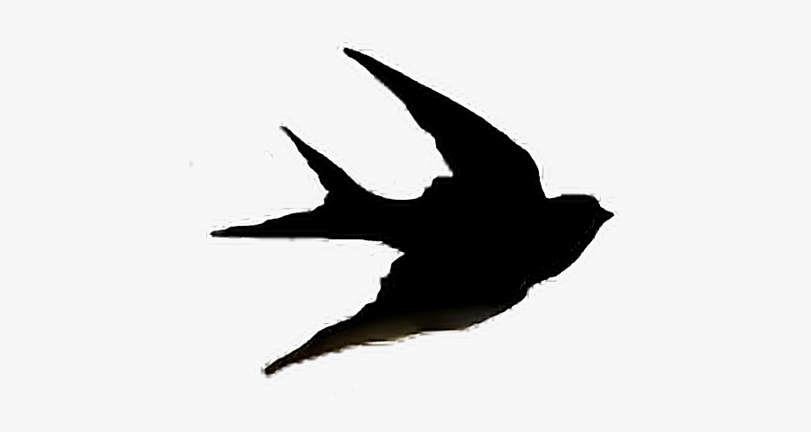 #sparrow #jack #bird #fly #art #nature #sky #pets&animals - Bird Stencil, Transparent Clipart