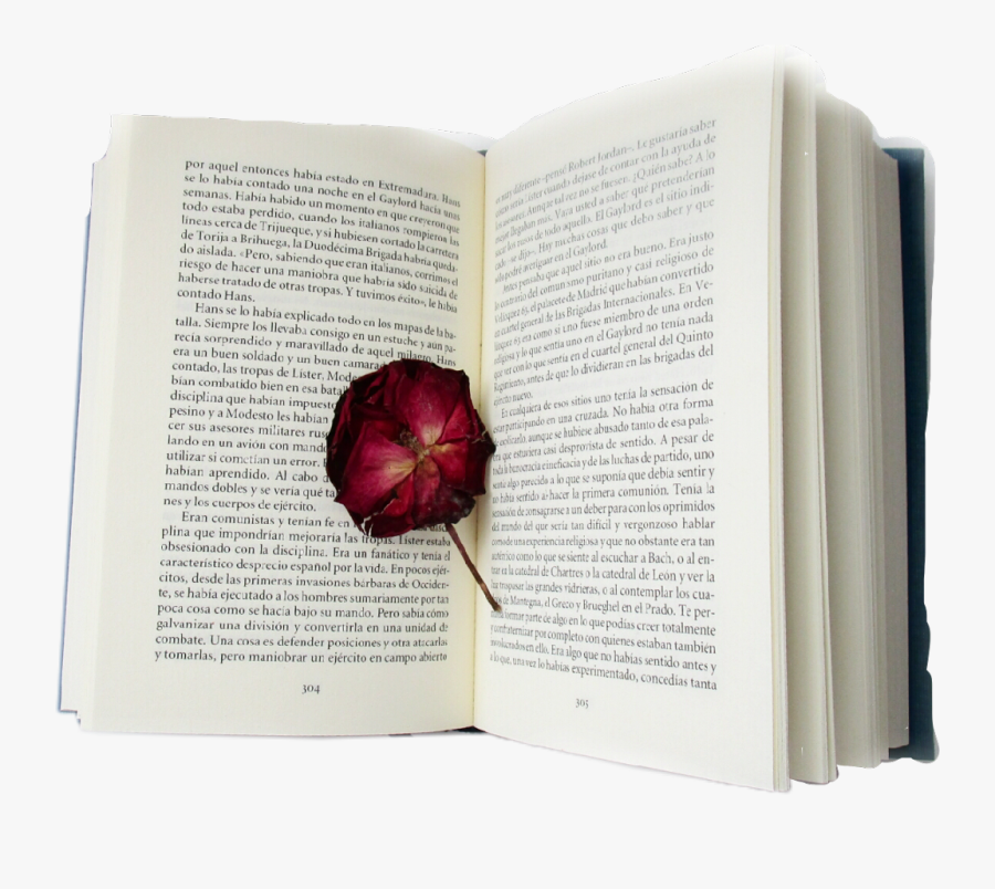 #sticker #aesthetic #flower #red #art #pretty #book - Folio Two From Burchard Of Sion's De Locis Ac Mirabilibus, Transparent Clipart