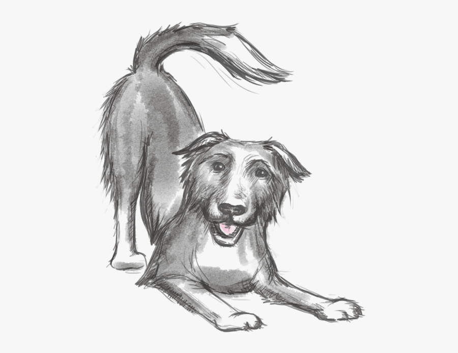 Keep The Tail Wagging Icon A Sketch Of Our Dog Blue - Raw Feeding Dog Weight Chart, Transparent Clipart