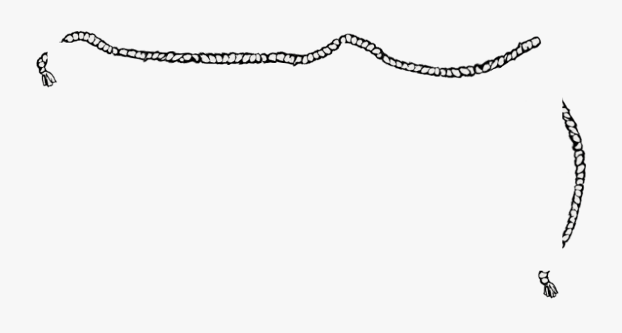 Anchor With Rope Logo Png, Transparent Clipart