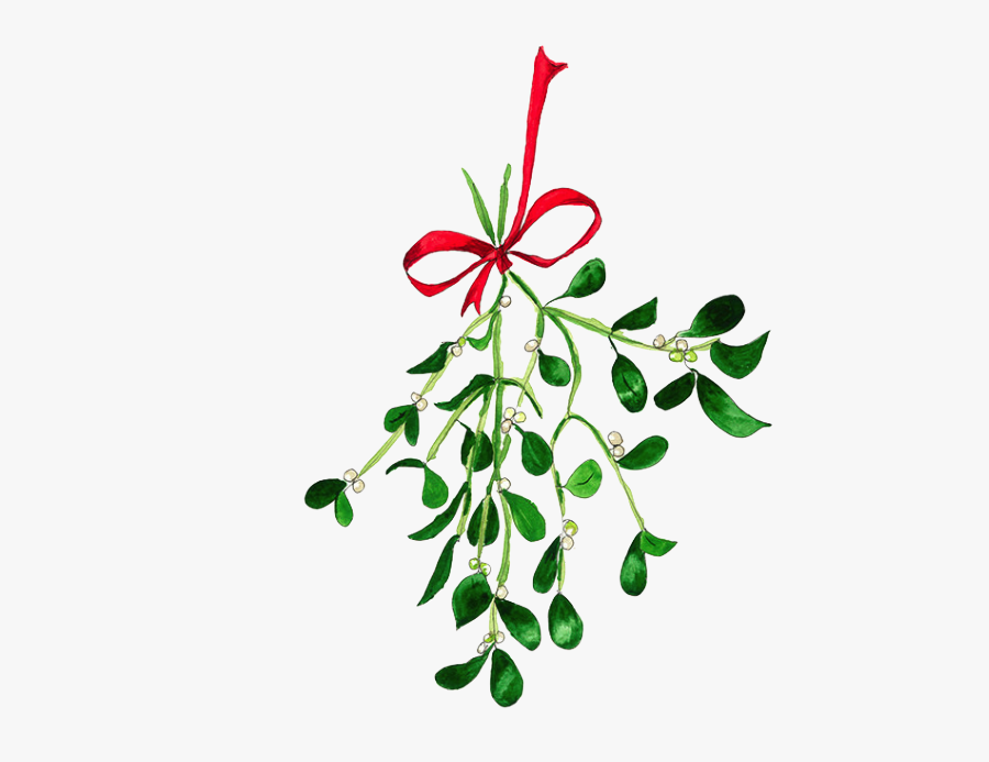 Mistletoe Texture Painting, Ink Painting, Mistletoe, - Watercolor Mistletoe Clip Art, Transparent Clipart
