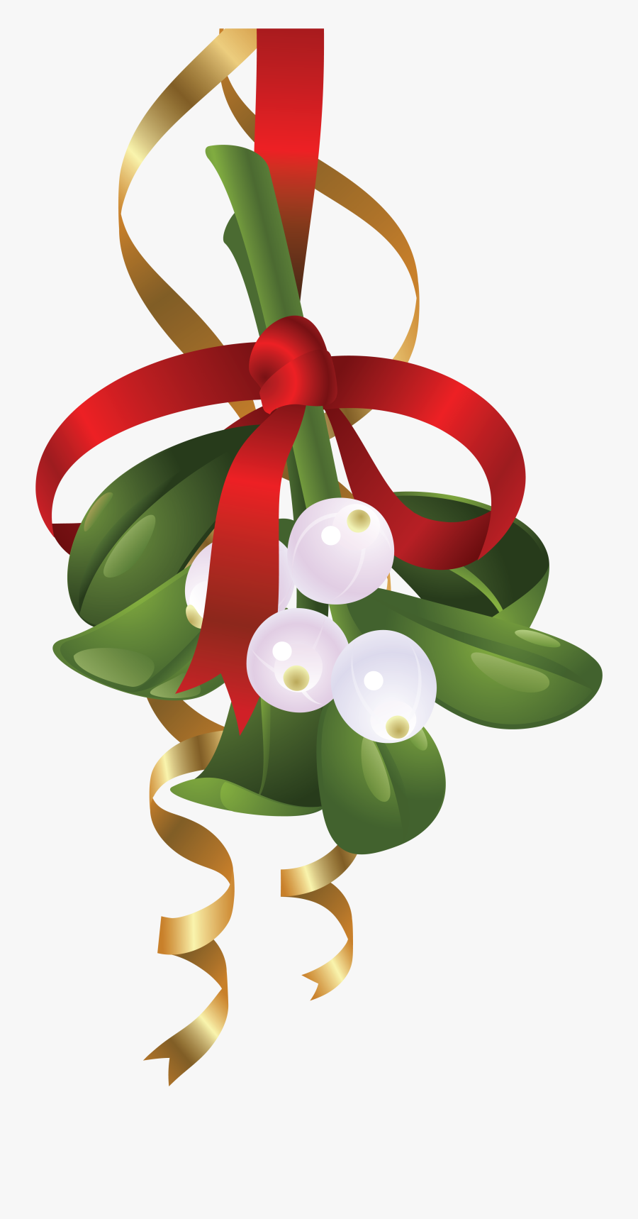 Mistletoe Portable Network Graphics Clip Art Illustration - Омела Рисунок, Transparent Clipart