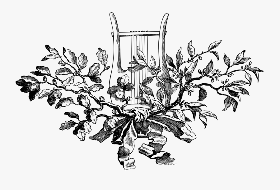 Botany,plant,flower - Rosa Glauca, Transparent Clipart