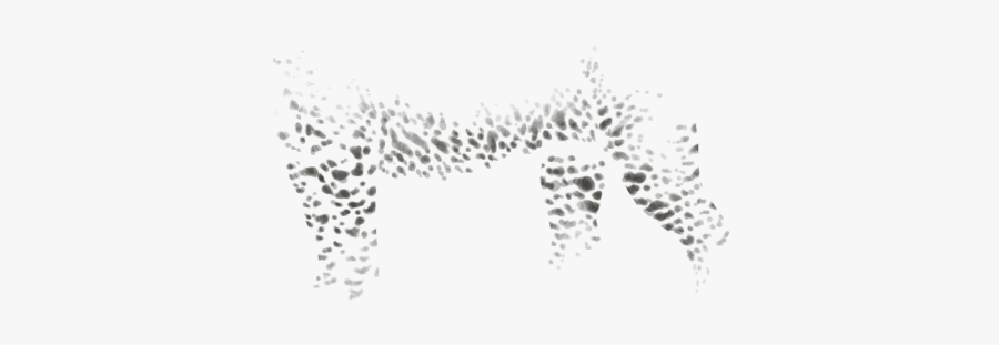 Jaguar, Transparent Clipart