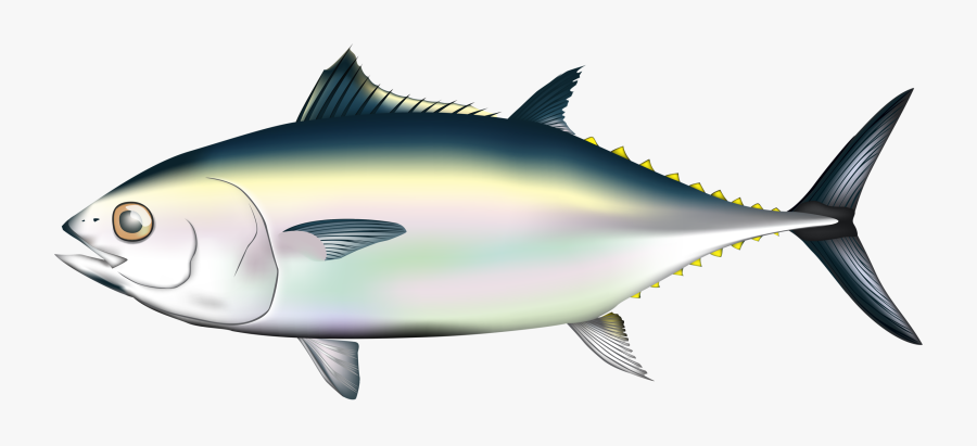 Pacific Bluefin Tuna Transparent, Transparent Clipart