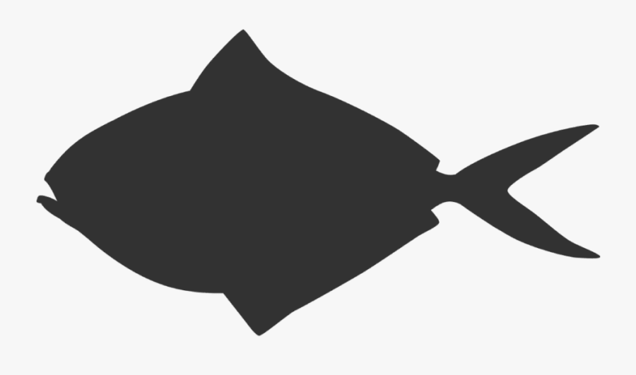 Cartilaginous Fish, Transparent Clipart