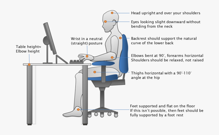 Office Chair Reduce Back Pain - Good Posture Uc Davis, Transparent Clipart