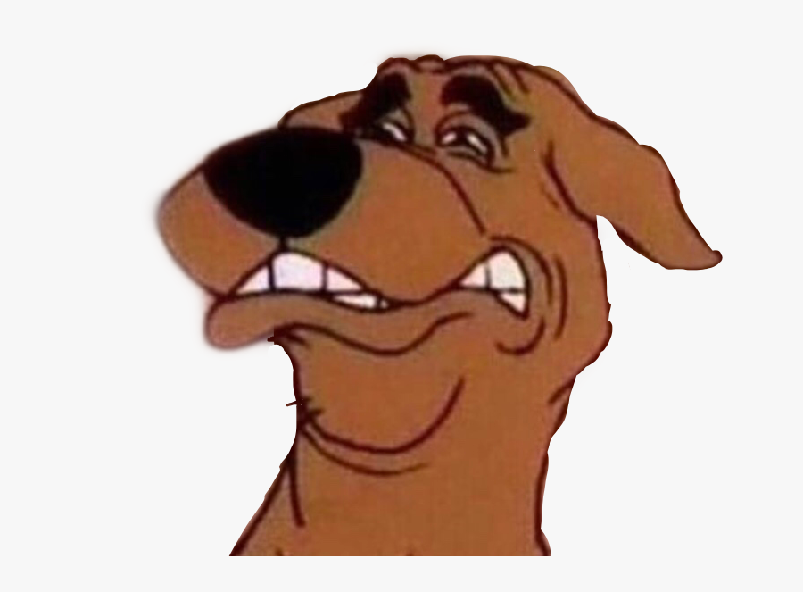 #meme #memes #disgusted #disgusting #scoobydoo #scooby-doo - Scooby Doo Funny Face, Transparent Clipart
