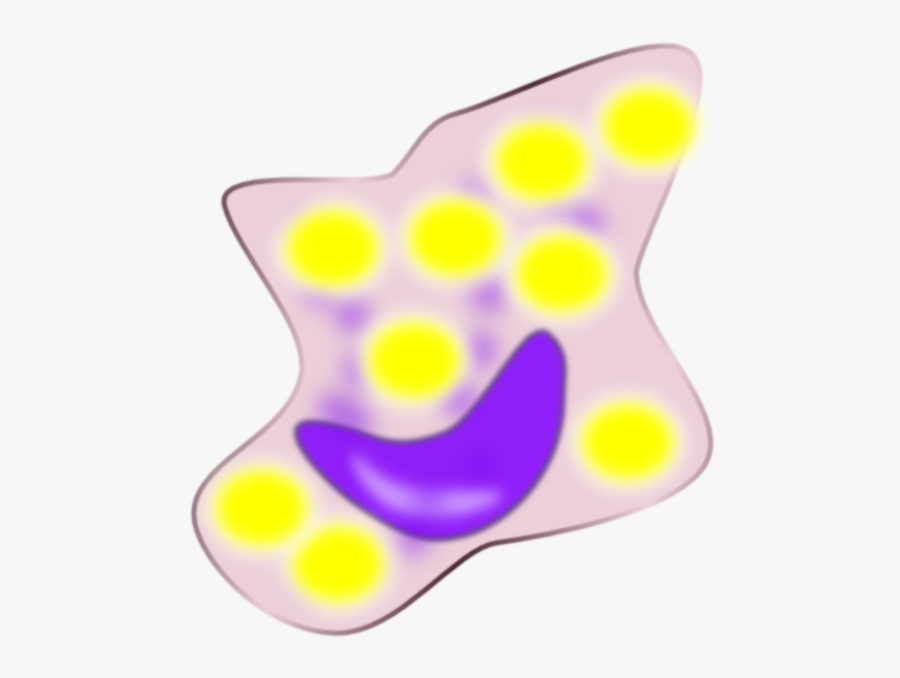 Foam Cell Png, Transparent Clipart