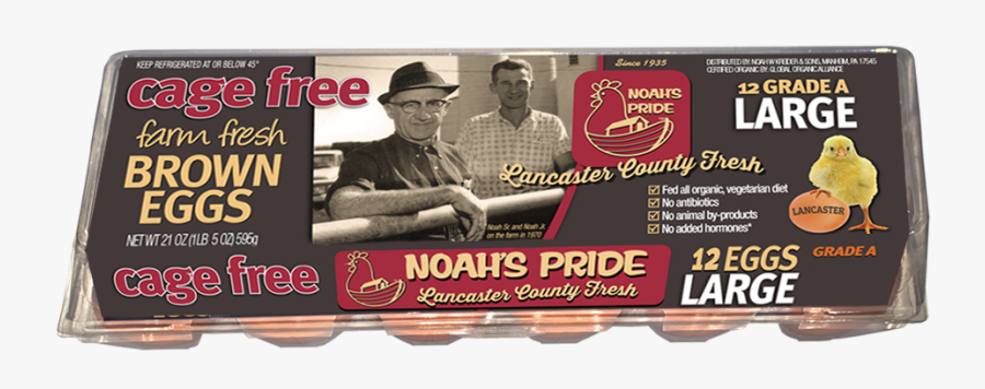 Barn Clipart Egg Farm - Noah's Pride Medium Eggs, Transparent Clipart