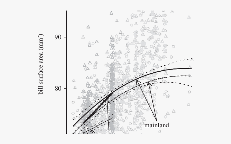 Song Sparrow Clipart Transparent - Circle, Transparent Clipart