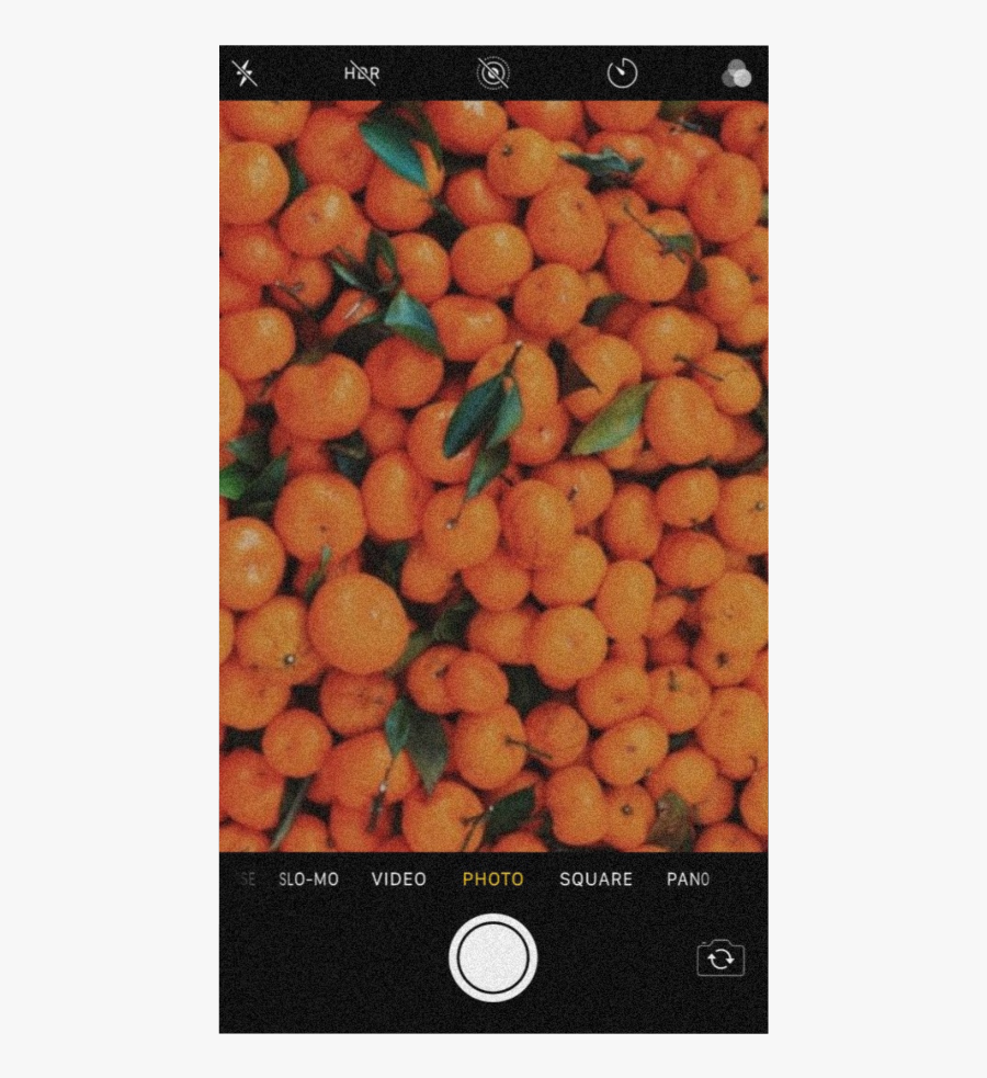 #orange #aesthetic #iphone #camera #oranges #black - Tangelo, Transparent Clipart