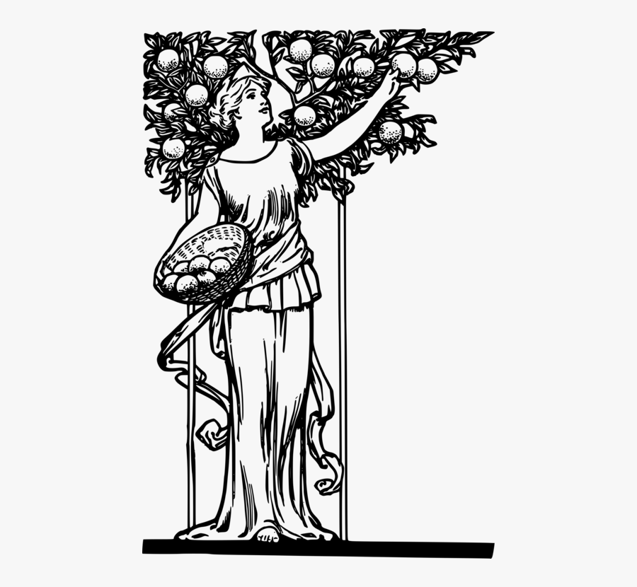 Art,monochrome Photography,artwork, Transparent Clipart