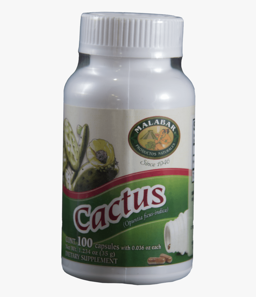 Cactus Nopal Pills - Broccoli, Transparent Clipart