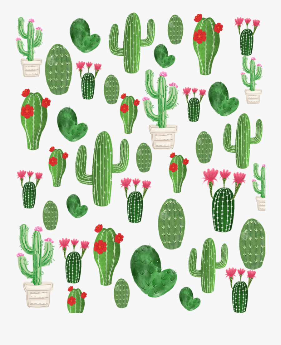#cactus #summer #green #background #pattern #freetoedit - Cactus Background Picsart, Transparent Clipart