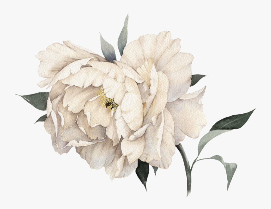 Download Clip Art Watercolor Greenery Clipart Wedding Invitation Clip Art Watercolor White Peony Clipart White Wedding Composition Jasmine Flowers Clipart Art Collectibles