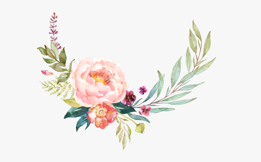 Common Peony, Transparent Clipart