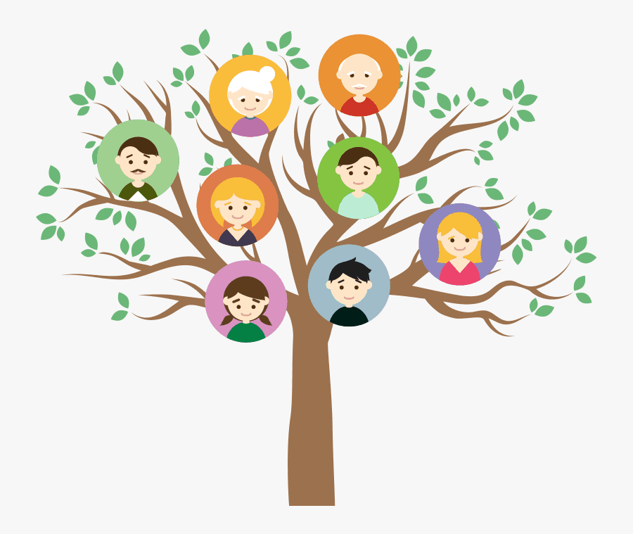 Vinilos Arbol, Transparent Clipart