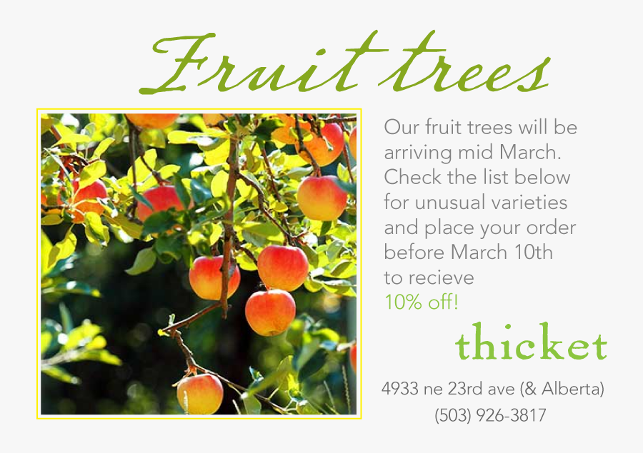We Are Doing Our Spring Order For Fruit Trees - My Month Of Fruitfulness, Transparent Clipart