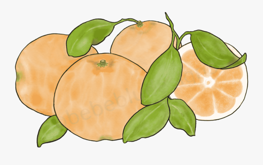 Oranges With Slice, Transparent Clipart