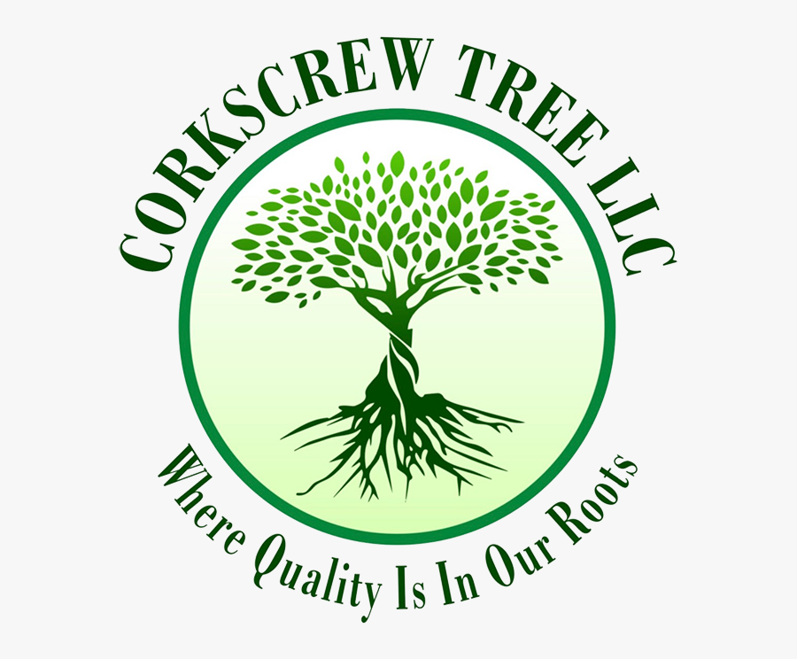 Hacc, Transparent Clipart