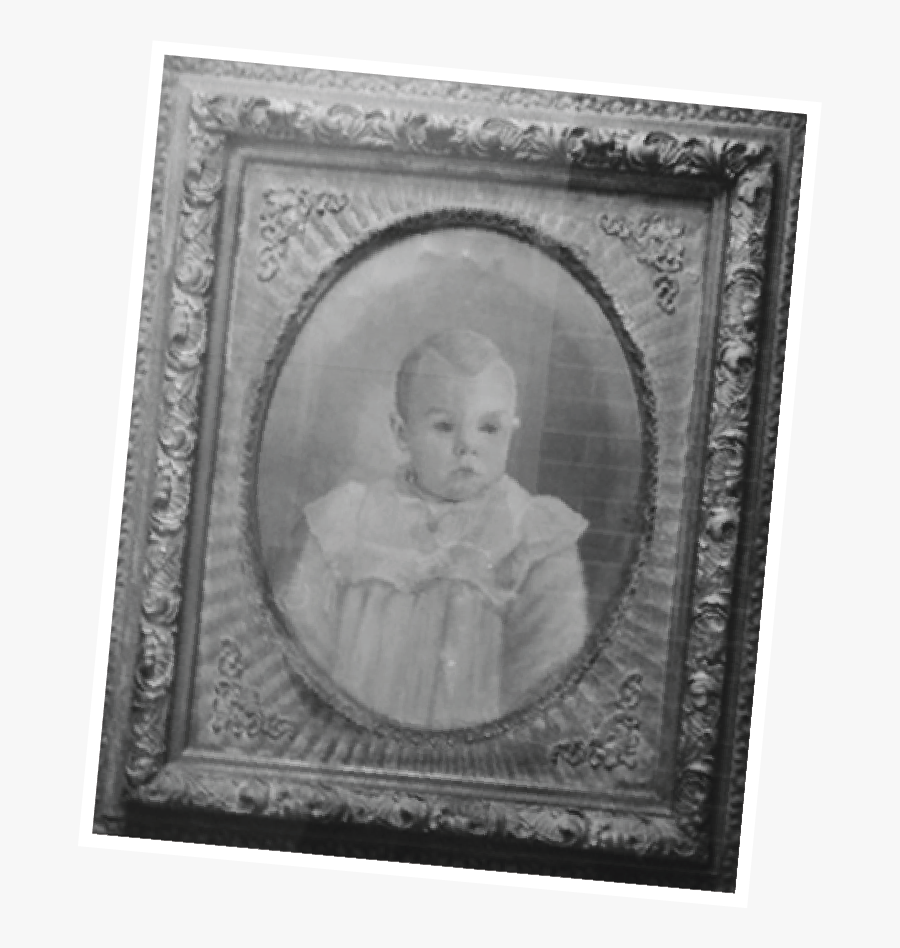Petal Polk - Petal Mississippi - Picture Frame, Transparent Clipart