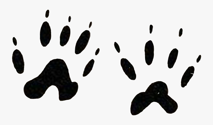 #footprints #animal #tatoo #wild #pawns #cat #catlove - Illustration, Transparent Clipart