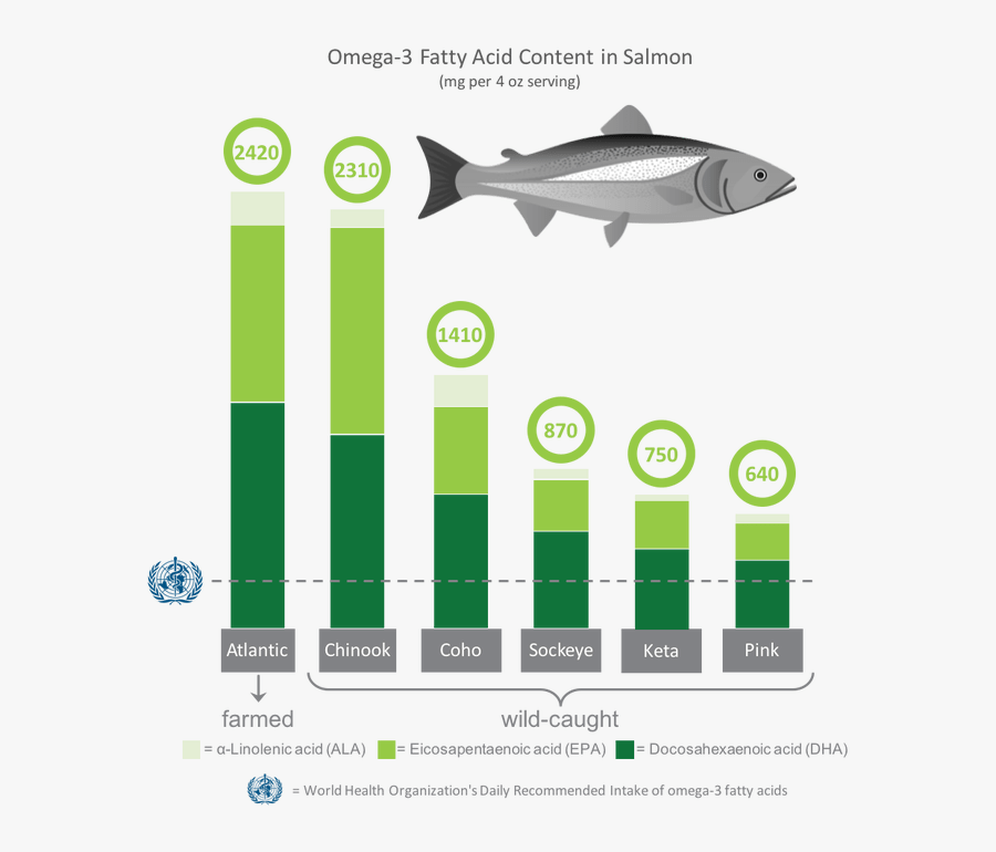 Trout Clipart Atlantic Salmon - Antibiotic Salmon, Transparent Clipart