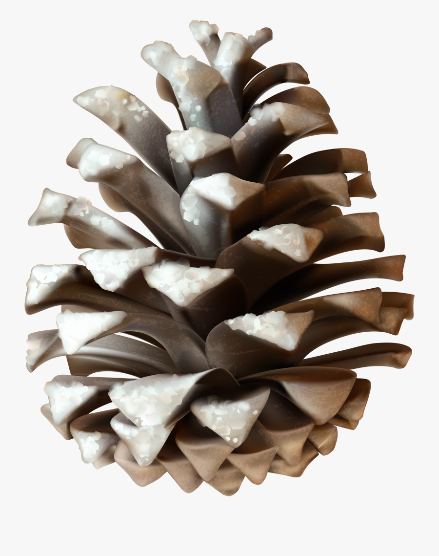 Winter Pinecone Png Clip Art Image - Winter Pine Cone Png, Transparent Clipart