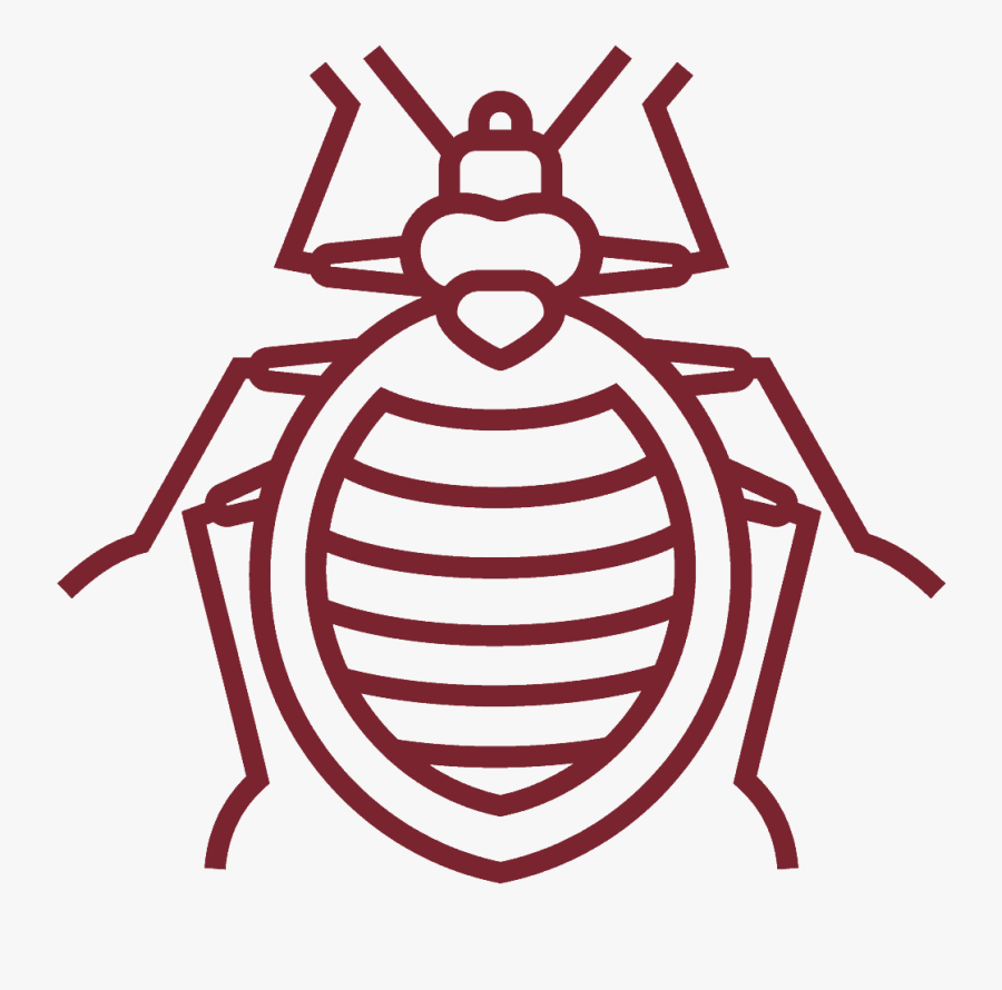 Bed Bug White Outline, Transparent Clipart