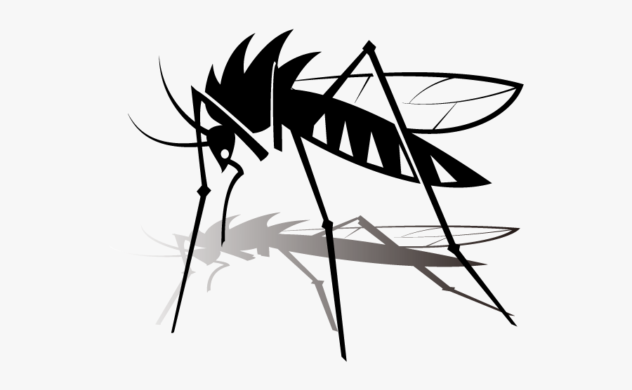 Mosquito - Mosquito Clipart Black And White Png, Transparent Clipart