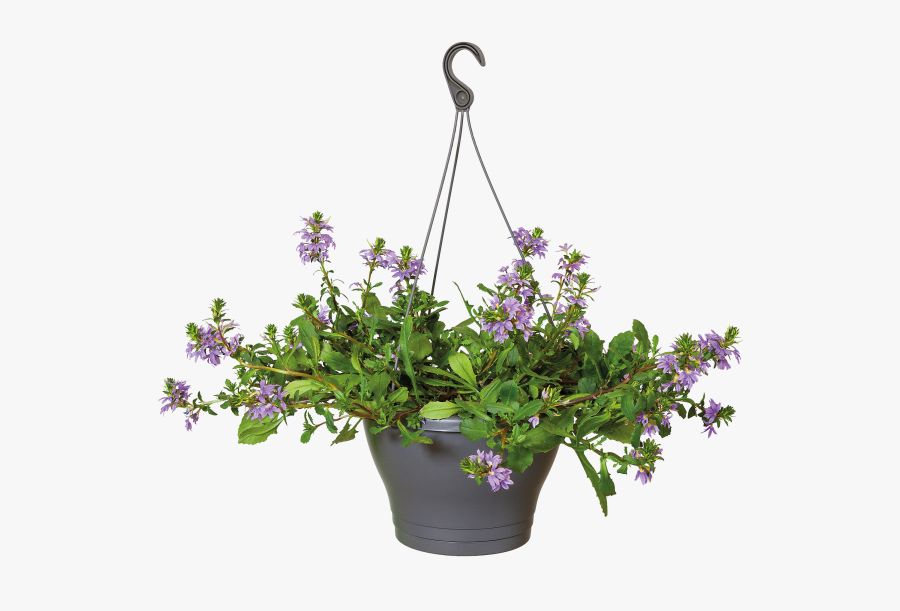 Hanging Flower Pots Png , Free Transparent Clipart - ClipartKey