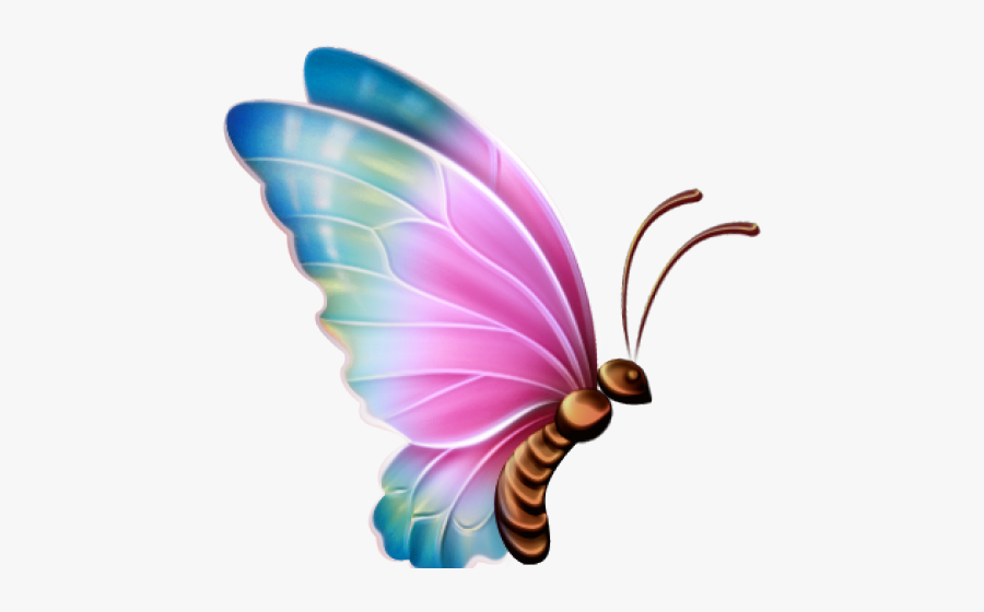Butterfly Clipart Clear Background - Transparent Background Butterfly Clipart, Transparent Clipart