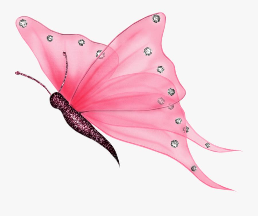 Transparent Background Butterfly Clipart, Transparent Clipart