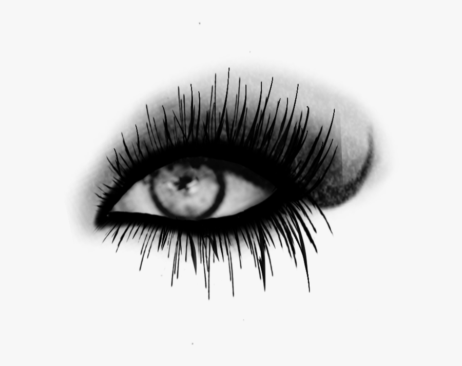 #eye #eyes #eyeliner #eyelashes #eyelash - Eye Shadow, Transparent Clipart